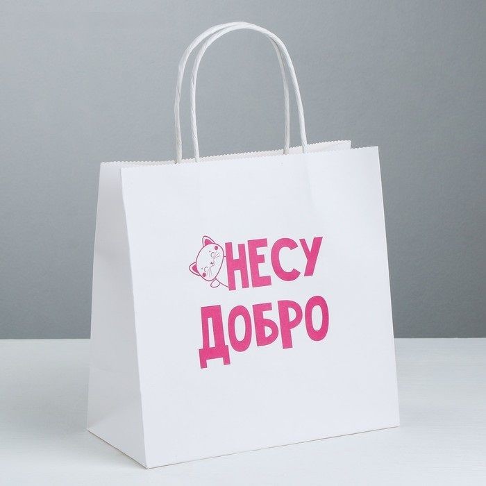 Пакет подарочный «Несу добро», 22 х 22 х 11 см